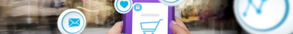 ecommerce 1 croped